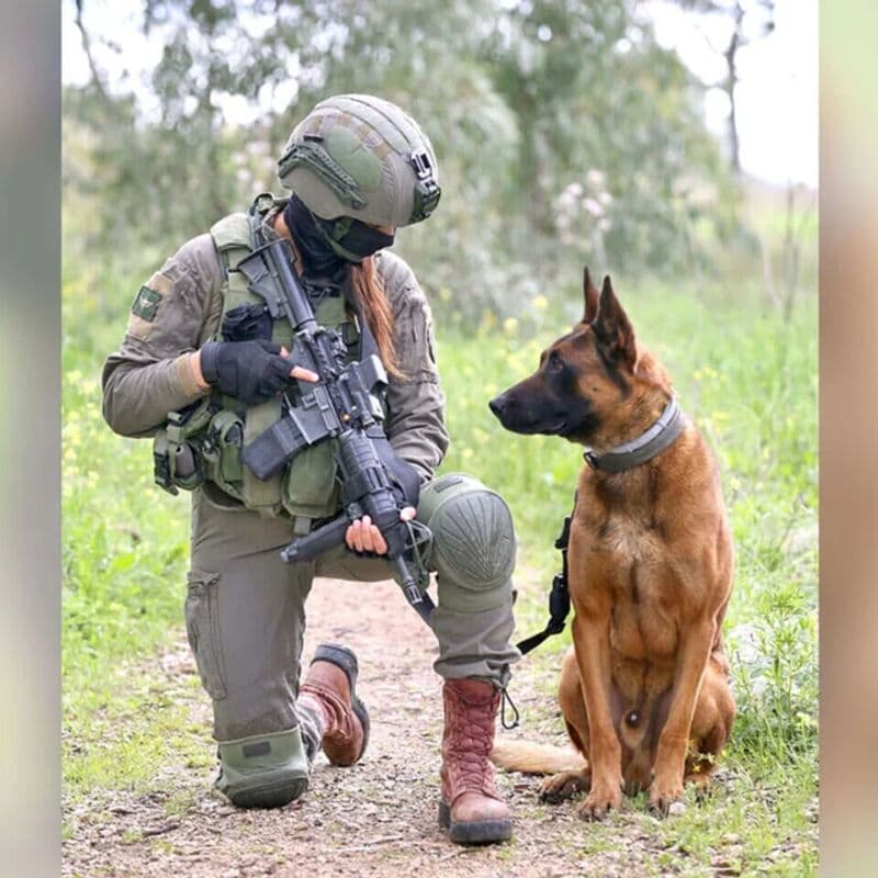 K9 operator with military dog